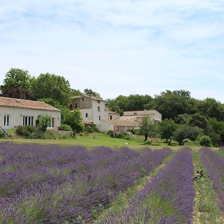 Les Anes De Forcalquier Hotel Luaran gambar