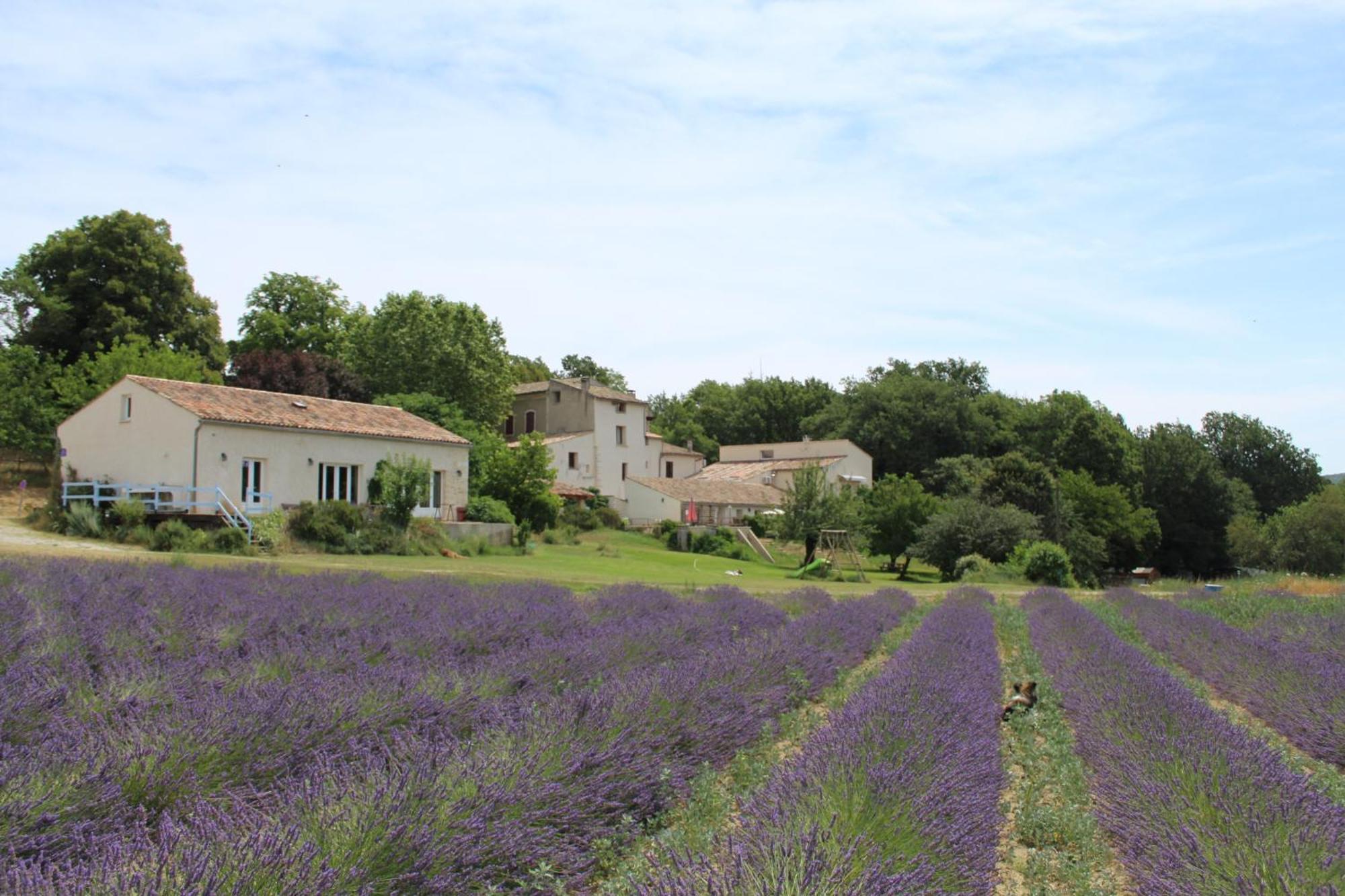 Les Anes De Forcalquier Hotel Luaran gambar