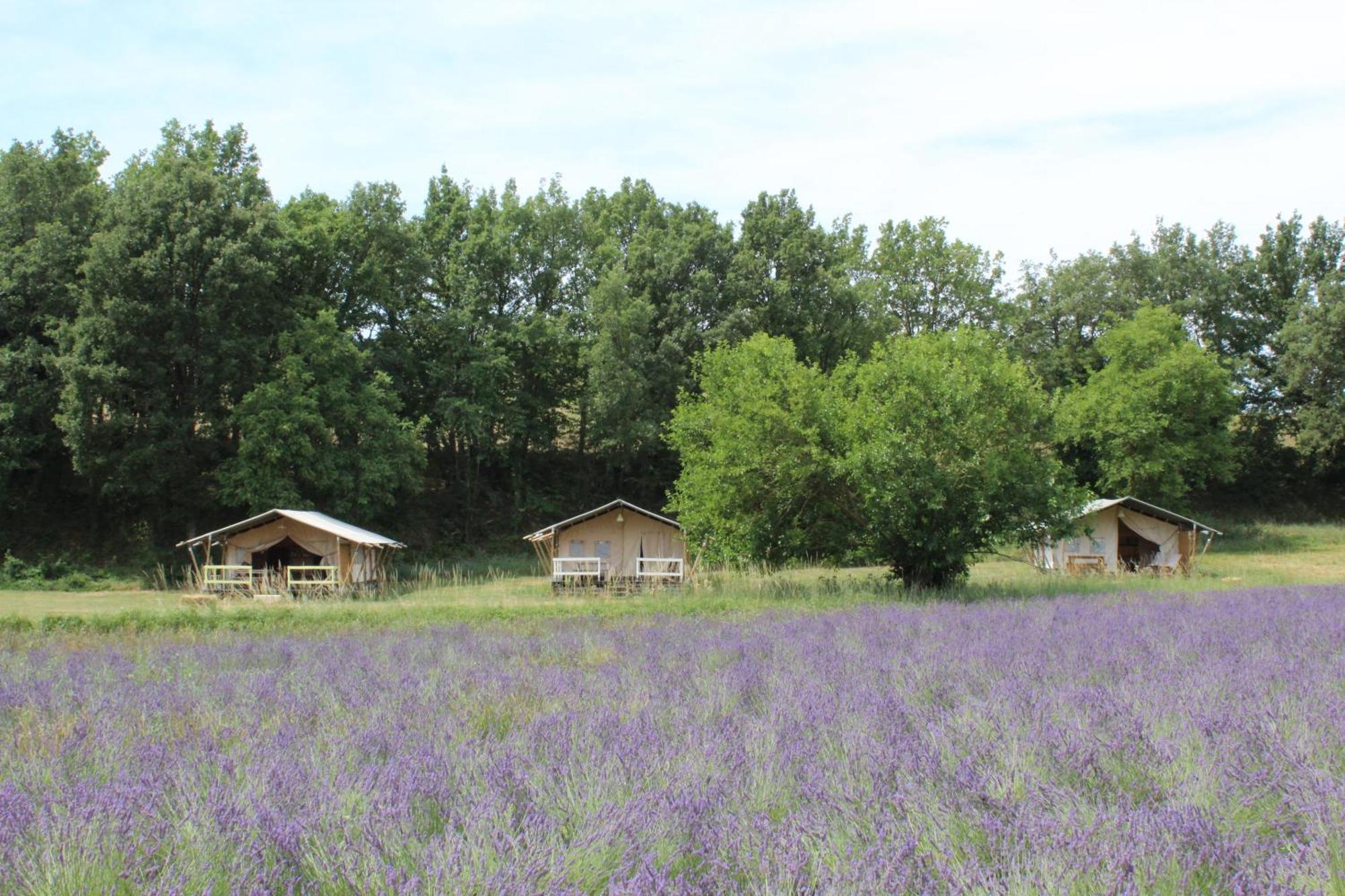 Les Anes De Forcalquier Hotel Luaran gambar