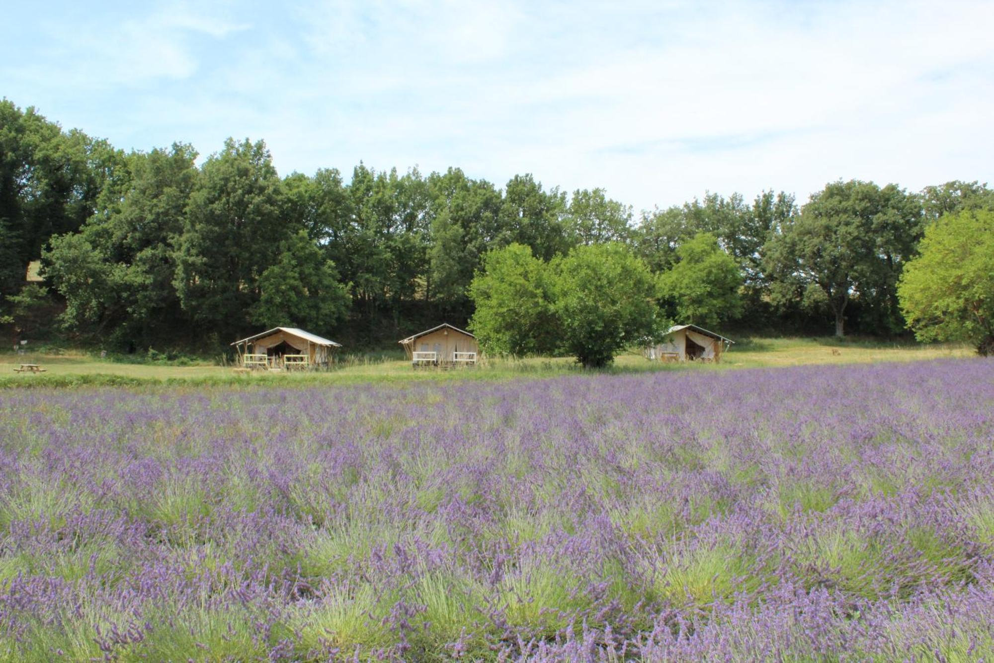 Les Anes De Forcalquier Hotel Luaran gambar