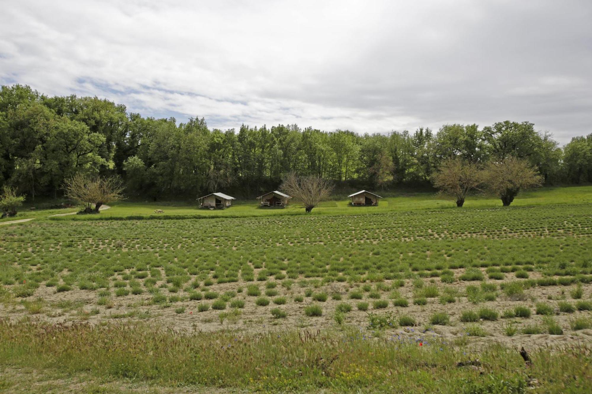 Les Anes De Forcalquier Hotel Luaran gambar