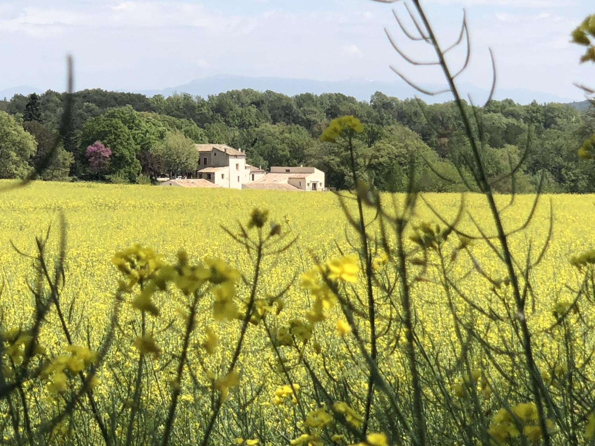 Les Anes De Forcalquier Hotel Luaran gambar